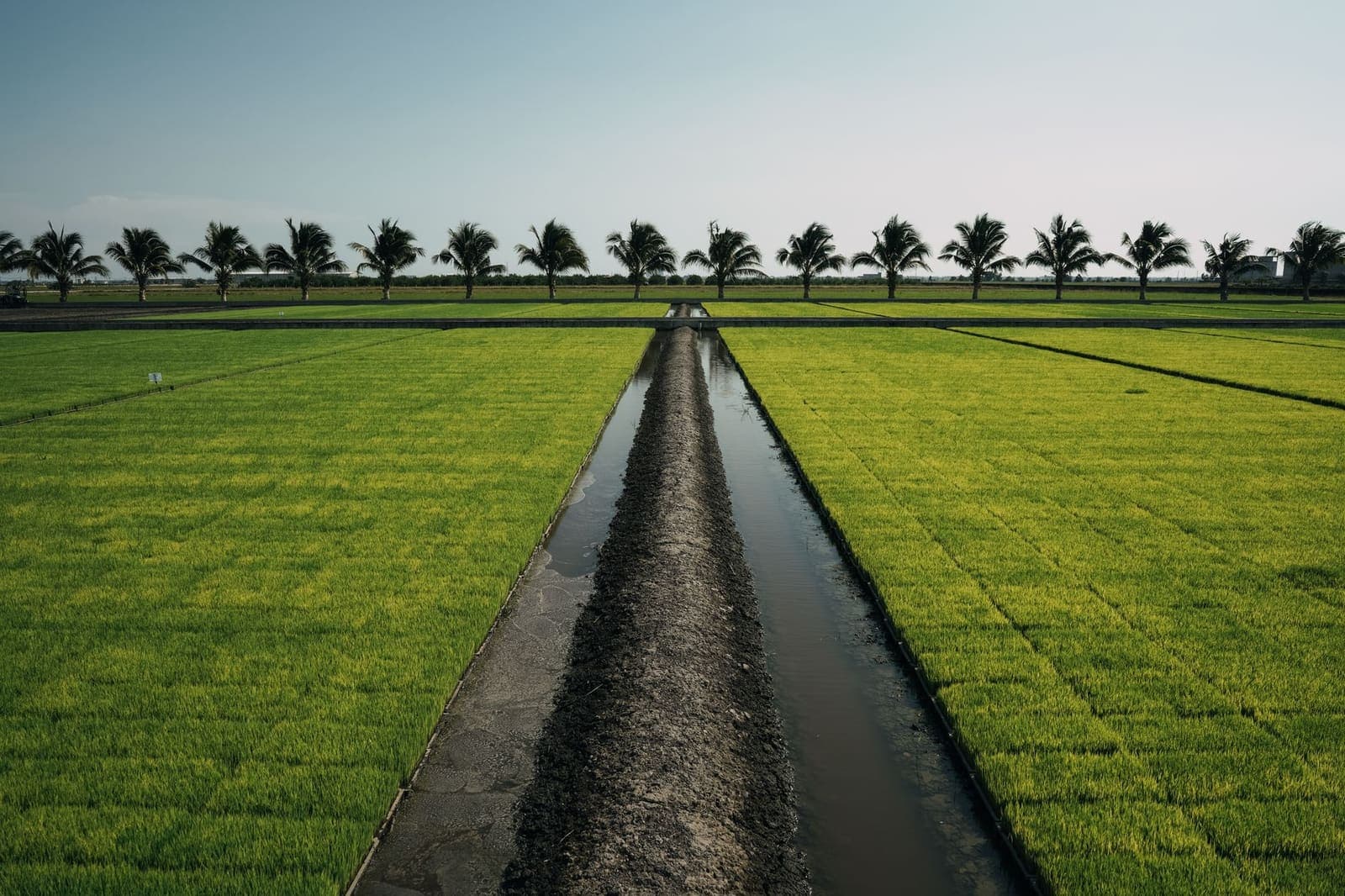 A stone irrigation channel running between terraced gardens.